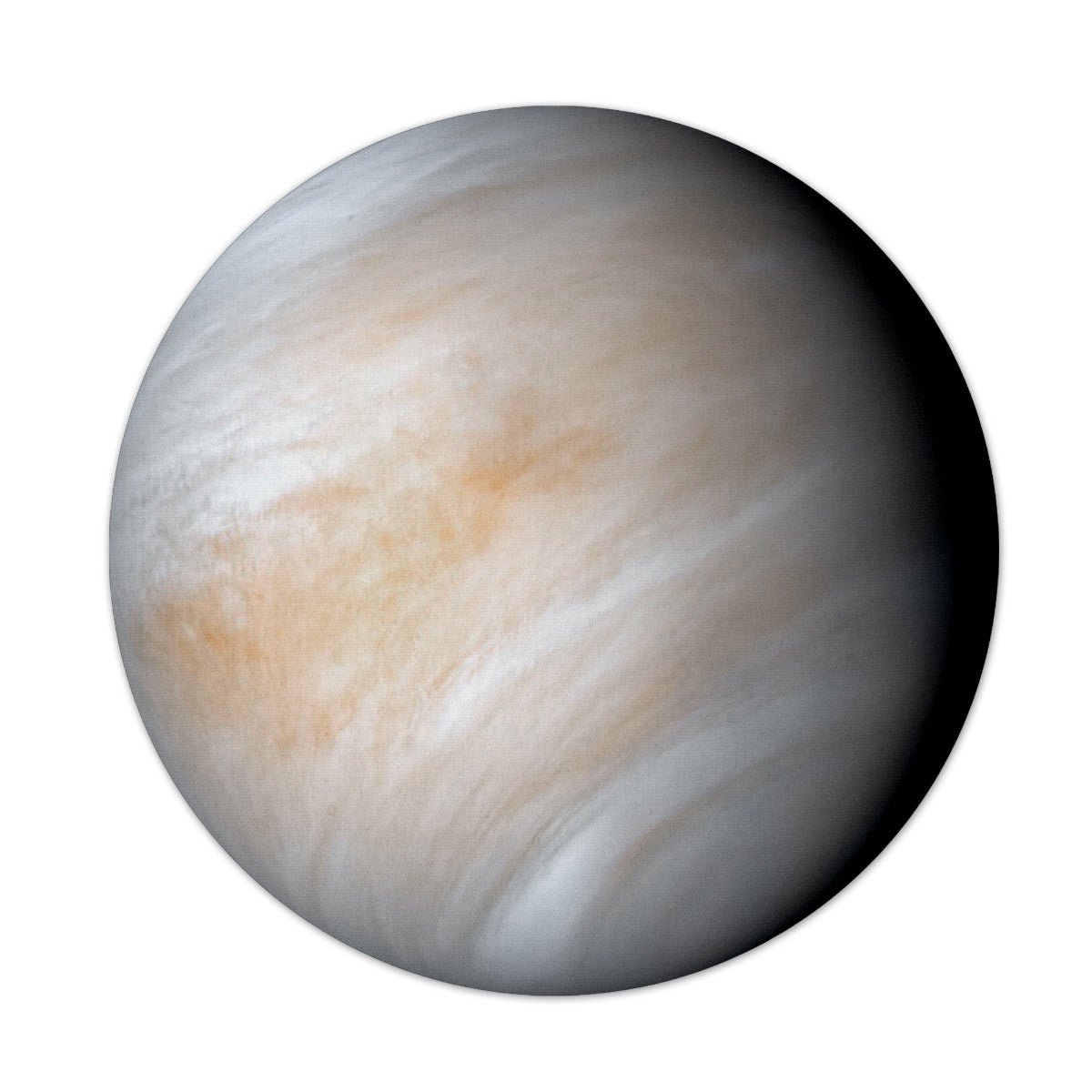 Venus 7.5